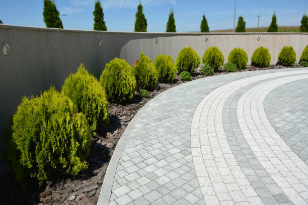 Best Residential Paver Driveway  in Big Le, AK